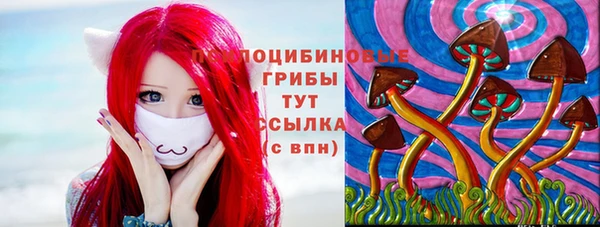 метадон Алексин